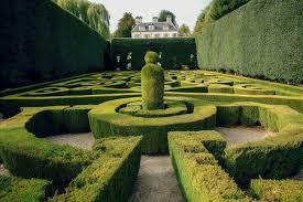 普陀区公园园林绿化工程技术