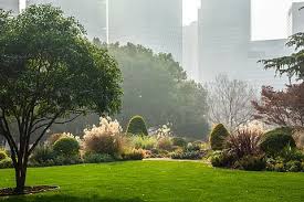 周口别野园林景观绿化工程施工队